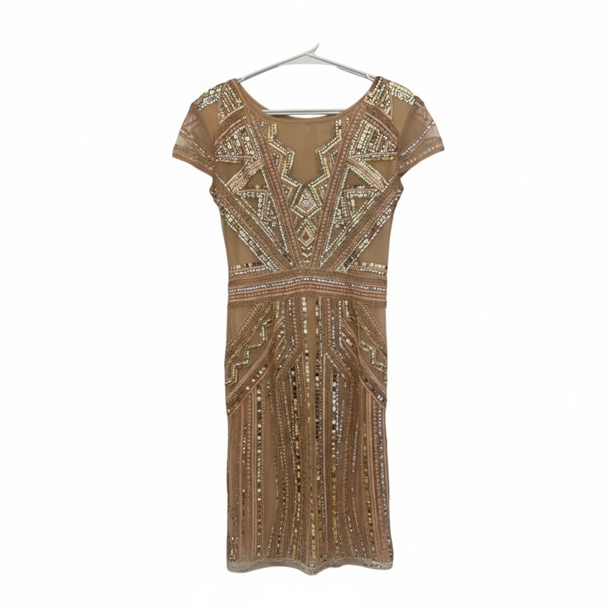 Golden Gatsby Glamour Sequin Mesh Dress